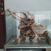 آکواریوم شیشه خم