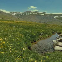 زمین-نیایش-حافظ-جنوبی-بلامانع