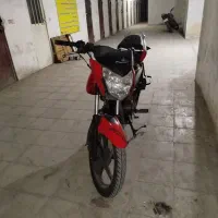 پالس 135|موتورسیکلت|قم, شهرک امام حسن|دیوار