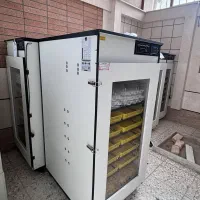 نمایندگی/دستگاه جوجه کشی هدایت/دستگاه جوجه کشی/|فروشگاه و مغازه|قلعه شاهین, |دیوار