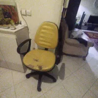 صندلی چرخدار|صندلی و نیمکت|گرمدره, |دیوار