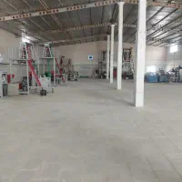 کارگر میخام داخل کارخونه