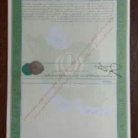 فروش-زمین-باغی-صنوبر