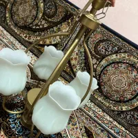 لوستر در حده نو کاملا سالم