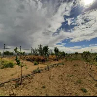 فروش لوله قطره ای یک اینج اندازه یک هکتار باغ|خدمات باغبانی و درختکاری|درودزن, |دیوار