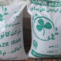 بذر یونجه