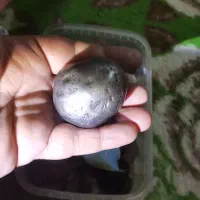 شهاب سنگ اهنی|کلکسیون اشیاء عتیقه|نی‌ریز, |دیوار