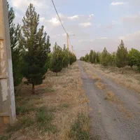 ۵۲۰مترزمین(سندتکبرگ)سهیلیه.زعفرانیه.کردان|فروش زمین و ملک کلنگی|کرج, دهقان ویلا|دیوار