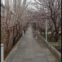 فروش باغ فوق العاده خوش قیمت و‌ لاکچری