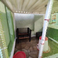 قفس مناسب انواع پرنده