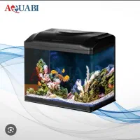 اکواریوم