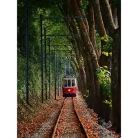 بلیط وان ترکیه ویژه خرید و سفر