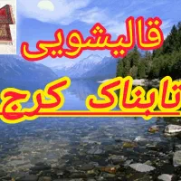کارخانه قالیشویی تابناک در  دشت بهشت متری ۵۵.۰۰۰ ت