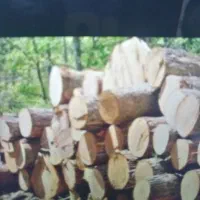 هیزم باغی شما را خریداریم