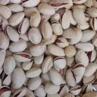 پسته پسته اکبری و کله قوچی
