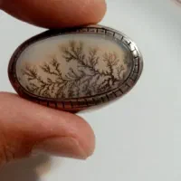 فیروزه و یمن و شجر