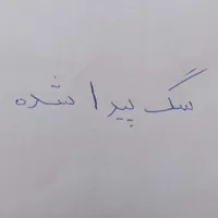 سگ پاکوتاه سیاه سفید پیدا کردیم تو خرم دره