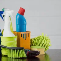 نظافت و تمیزکاری منازل کادر با سابقه بانوان