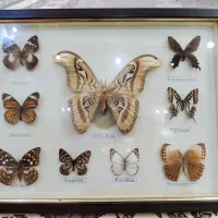 تابلوی پروانه و تابلوی قلم زنی مسی