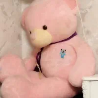 خرس بزرگ سالم صورتی جنس خارجی