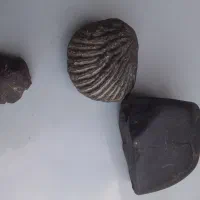 فروش سنگ کلکسیونی