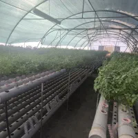 تجهیزات کشت هیدروپونیک و بستر کشت