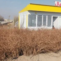 نهال پر کیفیت و اصلاح شده