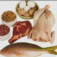 نیروی کار در  پروتئینی