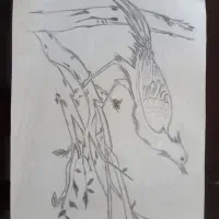 نقاشی|تابلو، نقاشی، عکس|کرج, حسن آباد|دیوار