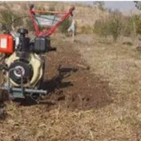 علف زنی وپاکنی باغهاوباغچها وگلخانها|خدمات باغبانی و درختکاری|صدرا-فارس, |دیوار