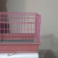 قفس پرنده