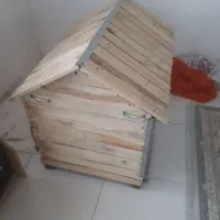قفس پرنده|لوازم جانبی حیوانات|کرمان, |دیوار