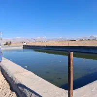 فروش-زمین-زراعی