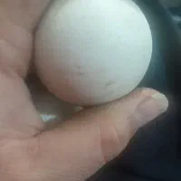 دو تا سنگ الماس اسیاب