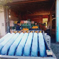 پلاستیک پیچی وگرمادرمانی|خدمات پیشه و مهارت|قائم‌شهر, |دیوار