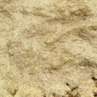فروش