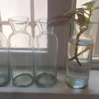 بطری شیشه ای