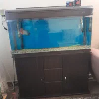 اکواریوم ۱۲۰ شرکتی ماهیران