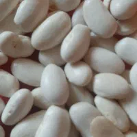 حبوبات|حراج|اصفهان, فجر|دیوار