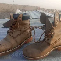 پوتین آمریکایی