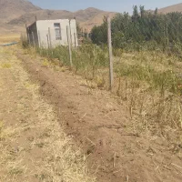 زمین مرغوب درجه بغل روستاوکتارجاده اصلی|فروش زمین و ملک کلنگی|دینور, |دیوار