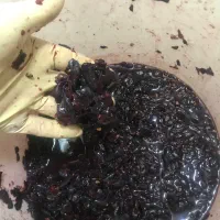 ابمیوه اب انگور۱۰۰%طبیعی تضمینی(بهداشتی)درمانی