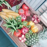 میوه آرایی و گل آرایی یلدا ابهرظرفیت محدود|خدمات پذیرایی، مراسم|ابهر, |دیوار