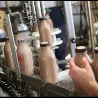 شرکت شیرکاکائو(کارگرآقا خانم،راننده،موزع)سرویس|استخدام صنعتی، فنی، مهندسی|اسلامشهر, باغ فیض|دیوار