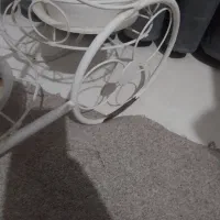 جاگلدونی|گل و گیاه طبیعی|دلیجان, |دیوار