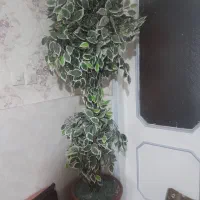 گلدان مصنوعی