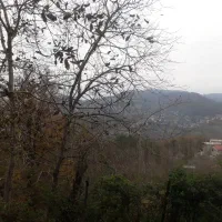 فروش زمین ۶۰۰متر|فروش زمین و ملک کلنگی|آلاشت, |دیوار