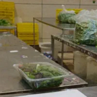 کارگر استخدام جهت کارگاه سبزی آماده فقط خانوم