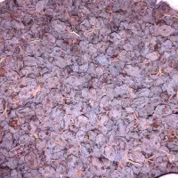 مویز بش درجه1 دشمن زیاری را مستقیم از باغ دار بخر|خوردنی و آشامیدنی|شیراز, معالی‌آباد|دیوار