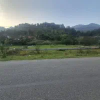 1300 متر زمین مسکونی جنگلی|فروش زمین و ملک کلنگی|شفت, |دیوار